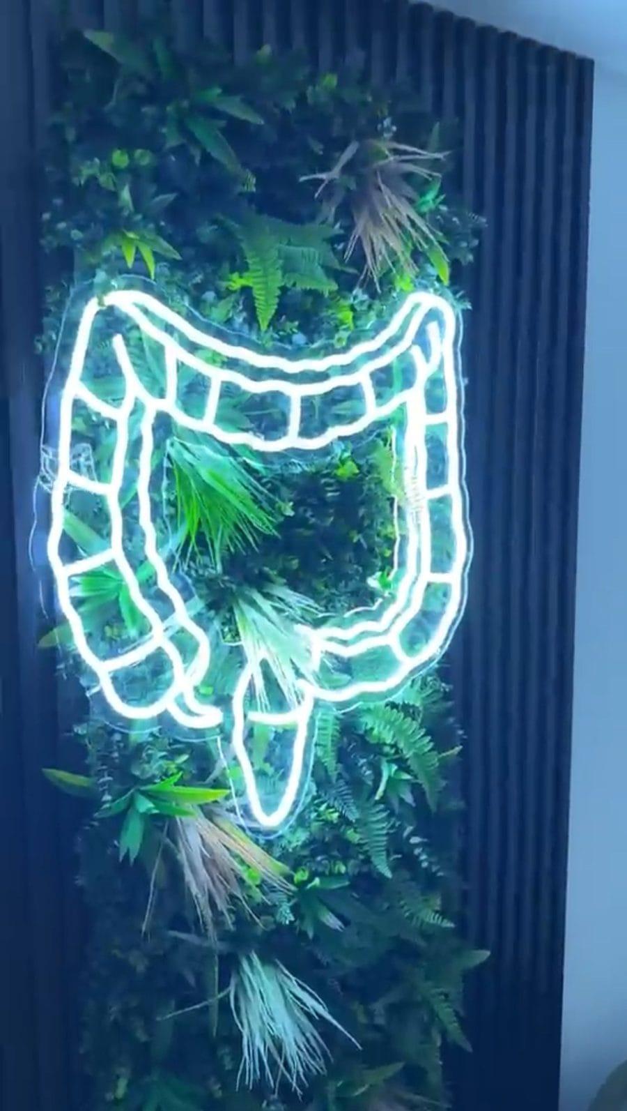 Neon colon sign on the living plant wall in the treatment room